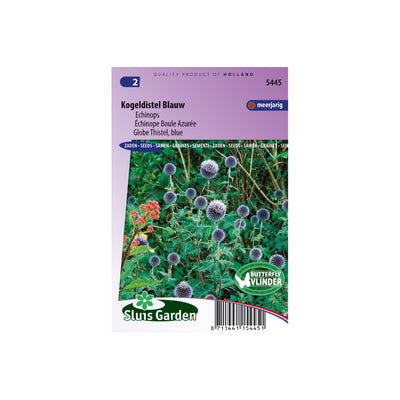 SL5445 Globe Thistel blue