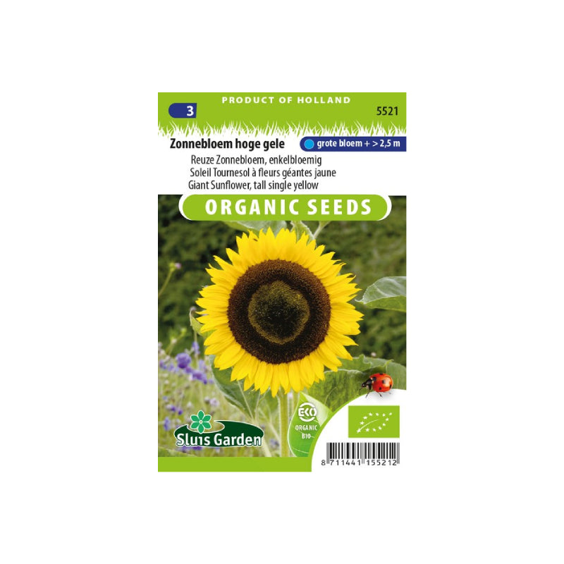 SL5521 Giant Sunflower tall single yellow  BIO