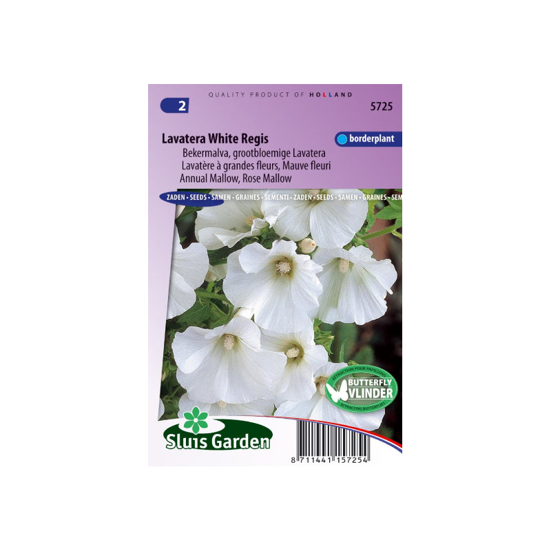 SL5725 Annual Mallow White Regis