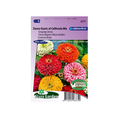 SL6375 Common Zinnia California Giants mix