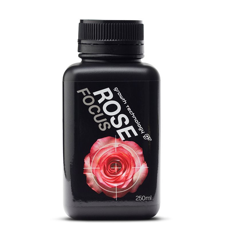 GT ROSE FOCUS 250ML