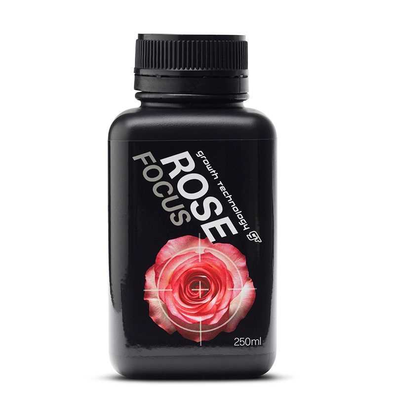 GT ROSE FOCUS 250ML