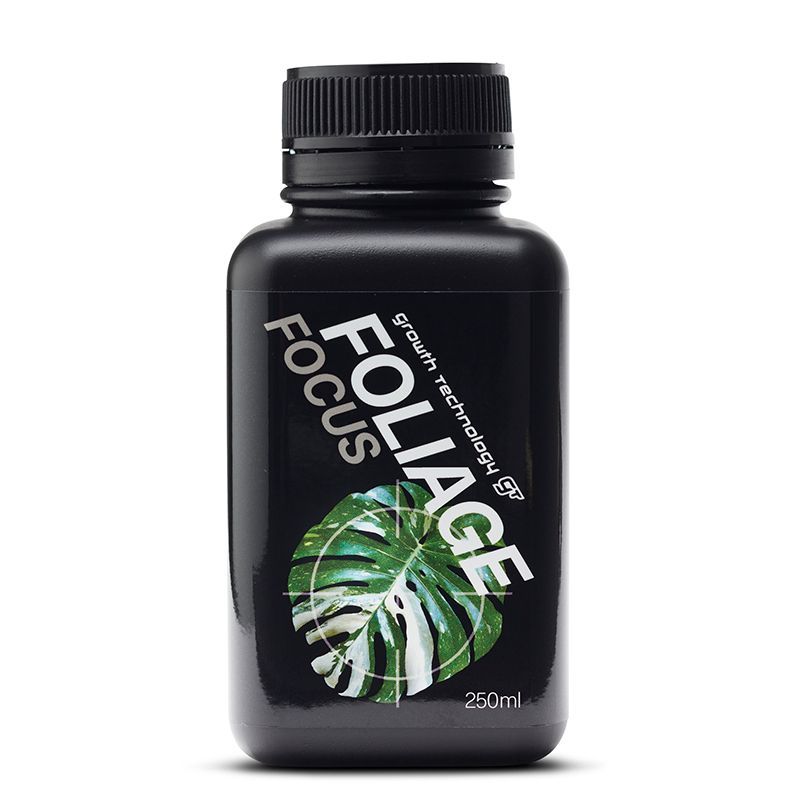 GT FOLIAGE FOCUS 250ML