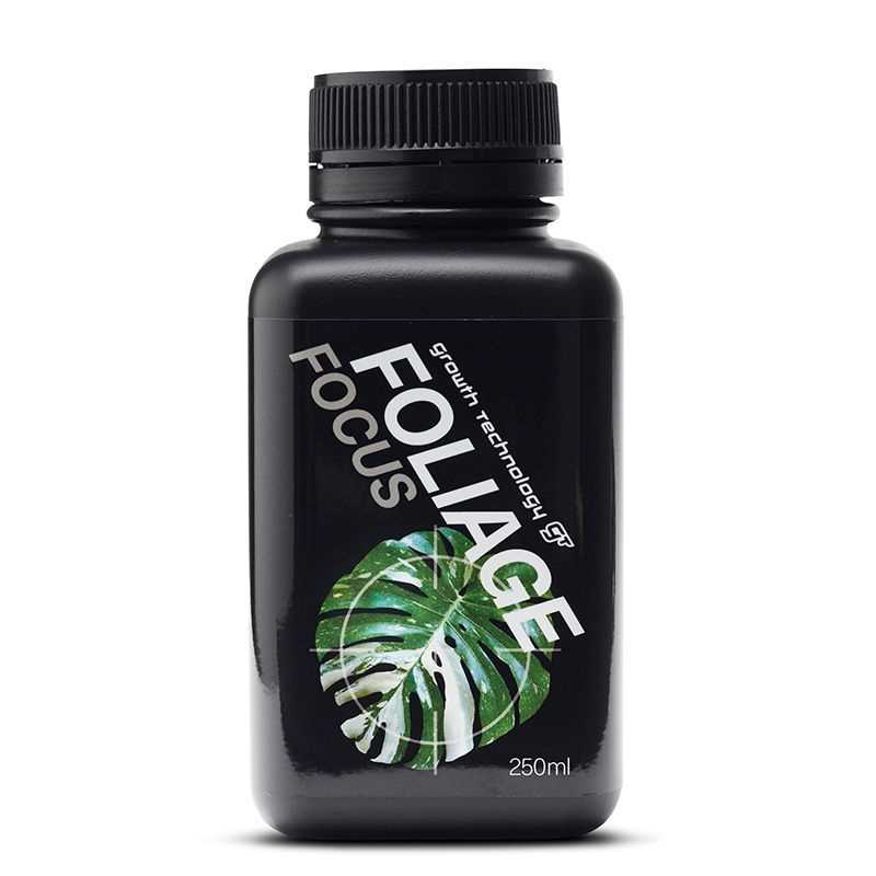 GT FOLIAGE FOCUS 250ML