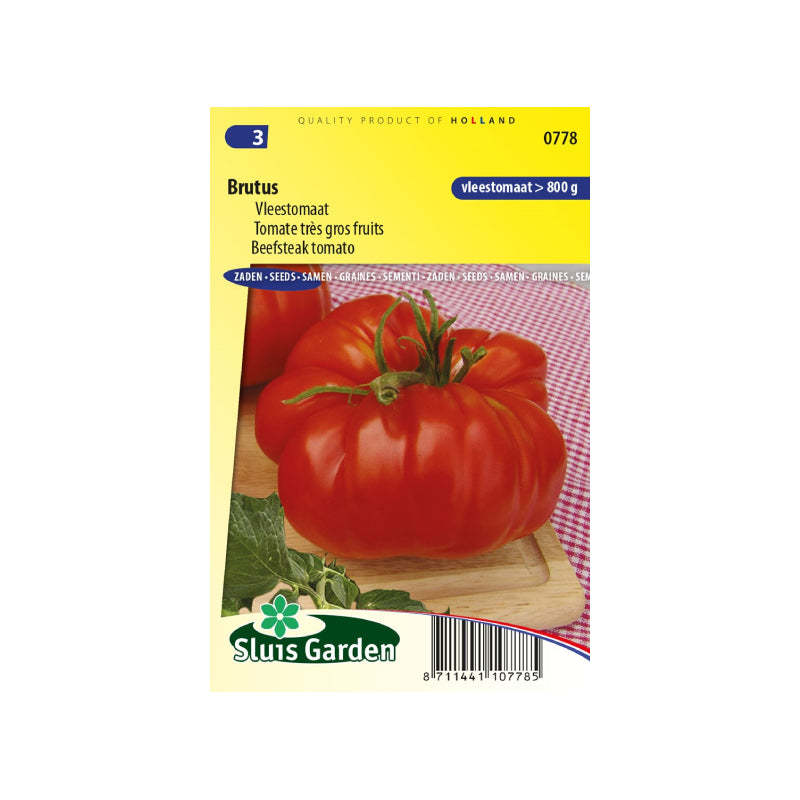 SL0778 Beefsteak tomato Brutus