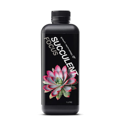 GT Succulent Focus (1L)