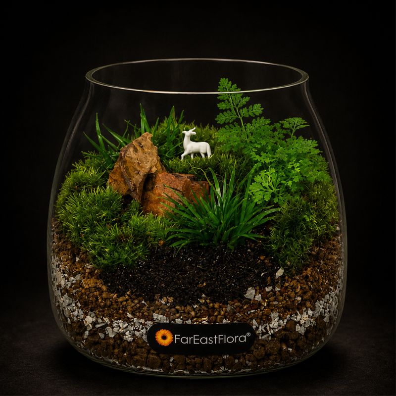 TERRARIUM ARRANGEMENT S/O $29.90