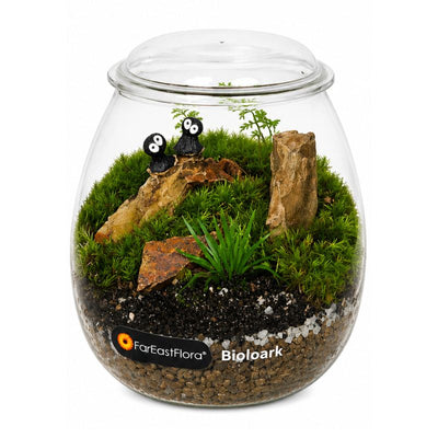 TERRARIUM ARRANGEMENT S/O $29.90