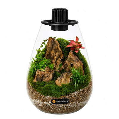 TERRARIUM ARRANGEMENT S/O $119.90