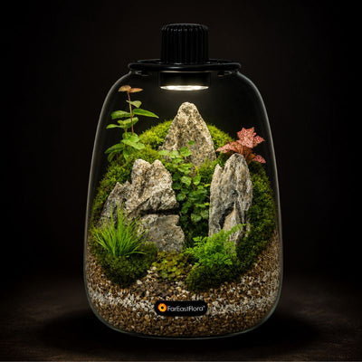 TERRARIUM ARRANGEMENT S/O $119.90
