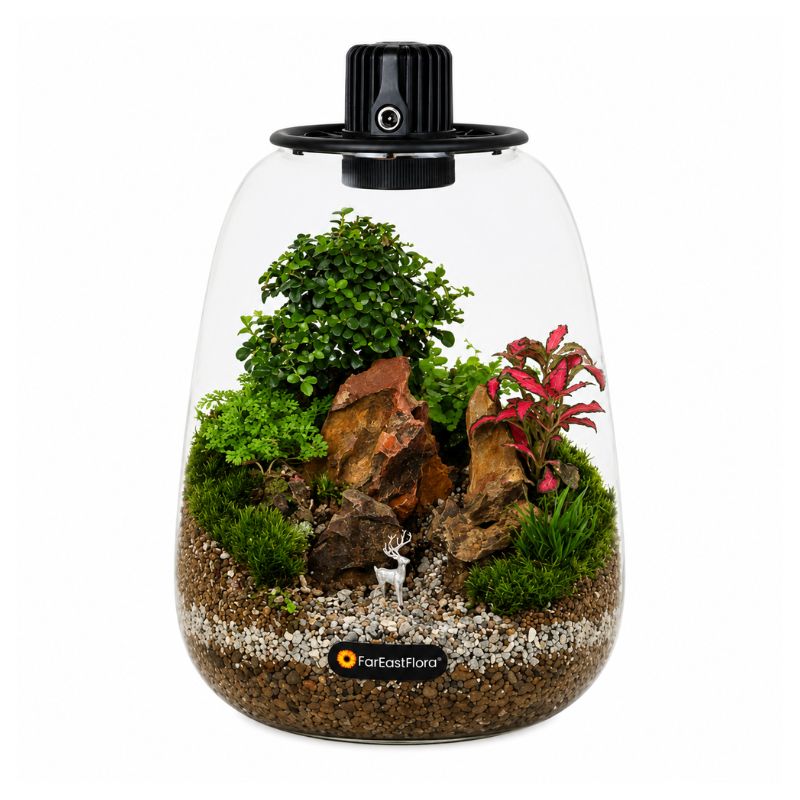 TERRARIUM ARRANGEMENT S/O $129.90