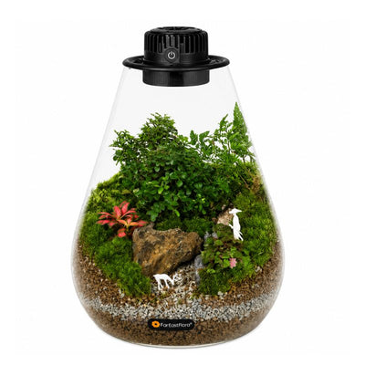 TERRARIUM ARRANGEMENT S/O $139.90