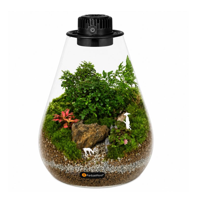 TERRARIUM ARRANGEMENT S/O $139.90