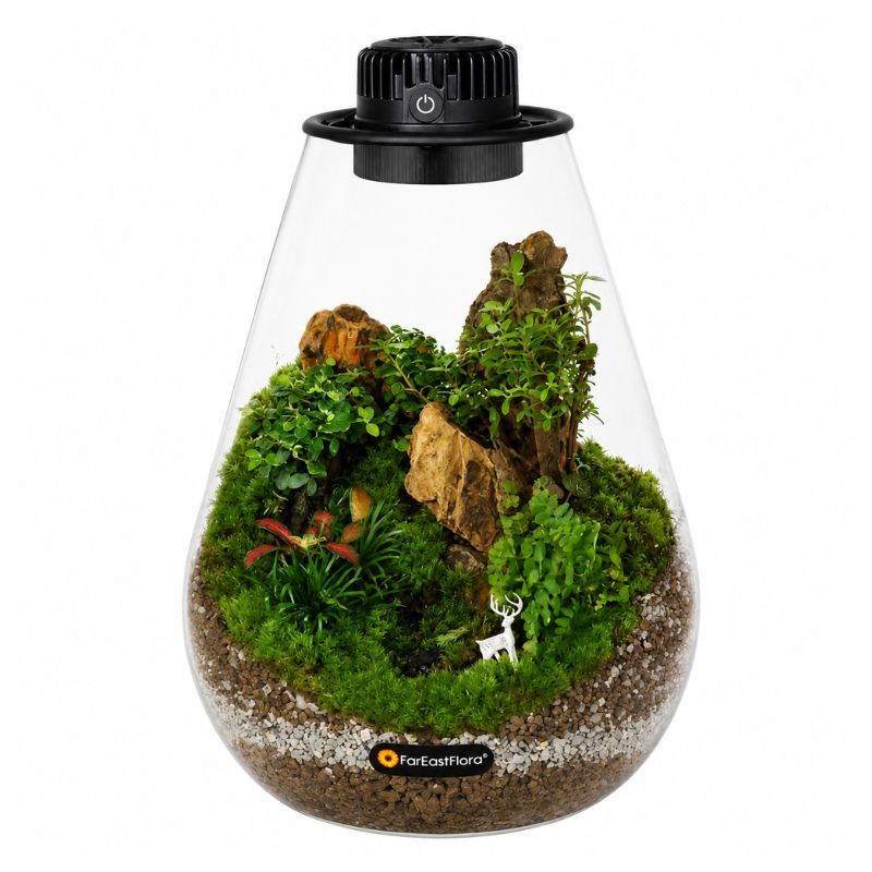 TERRARIUM ARRANGEMENT S/O $149.90