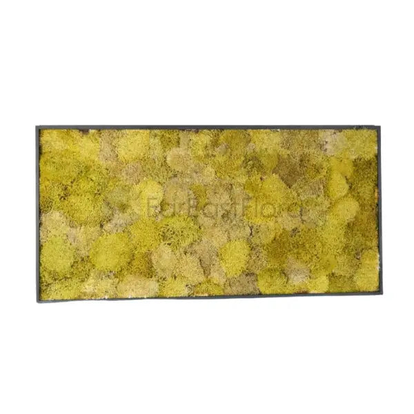 MOSS WALL ART RECTANGLE 50X100CM 0105 (SF)