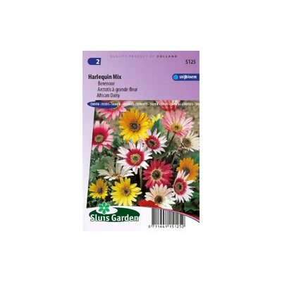 SL5125 African Daisy Harlequin Mix