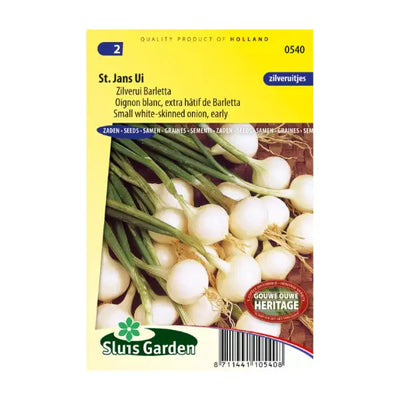SL0540 Onion Barletta