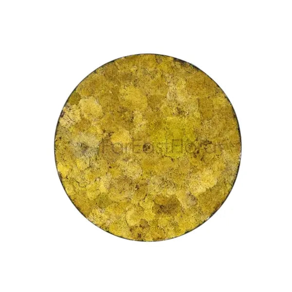 MOSS WALL ART ROUND 90CM 005 (SF)