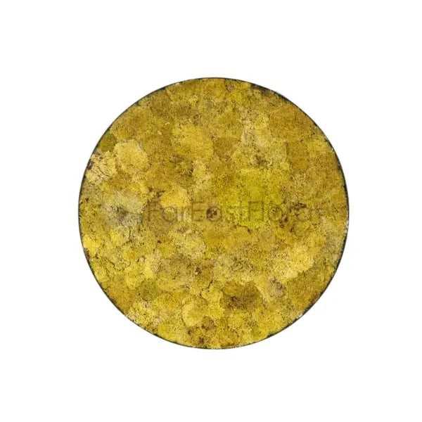 MOSS WALL ART ROUND 90CM 005 (SF)