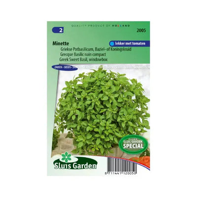 SL2005 Greek Sweet Basil Minette