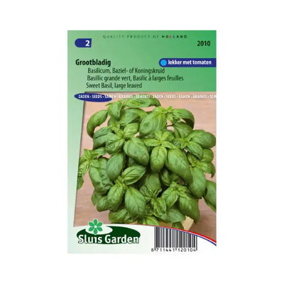 SL2010 Sweet Basil large leaved