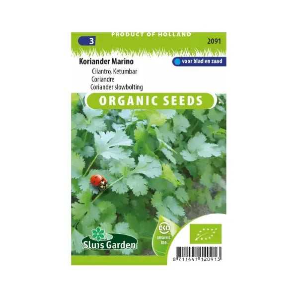 SL2091 Coriander (slowbolting Cilantro) Marino  BIO
