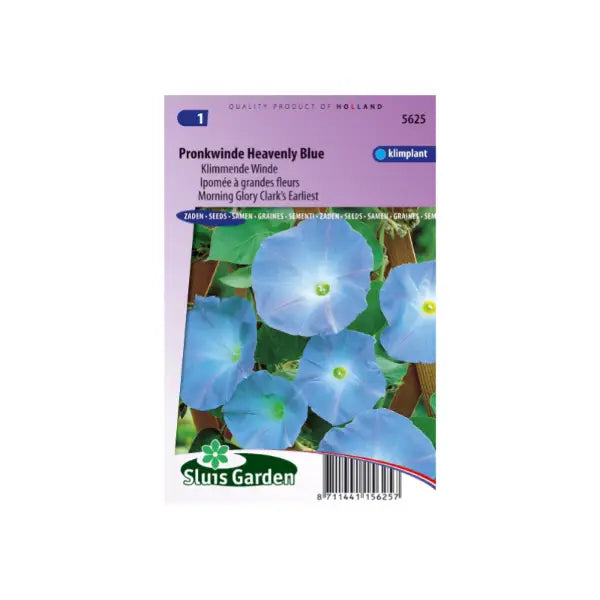 SL5625 Morning Glory Clark's Earliest Heavenly Blue