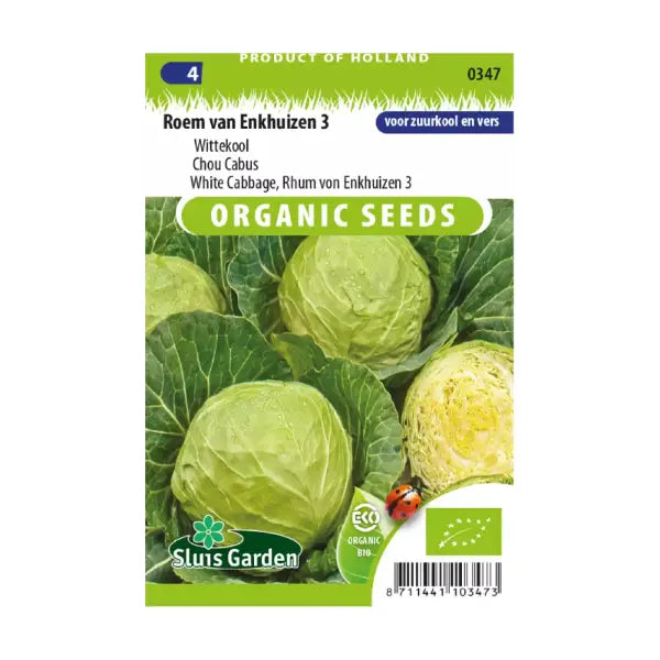 SL0347 White Cabbage Roem van Enkhuizen 3 BIO