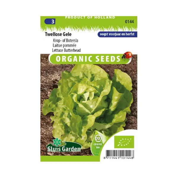 SL0144 Lettuce Butterhead Twellose Gele BIO