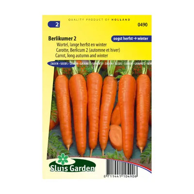 SL0490 Carrot Berlikumer 2