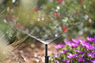 HOZELOCK 2791 MICRO SPRINKLER 180° 12PC