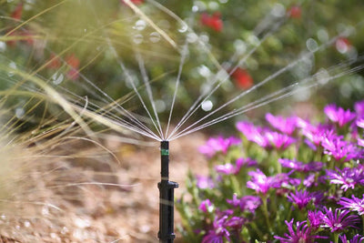 HOZELOCK 2792 MICRO SPRINKLER 360° 12PC