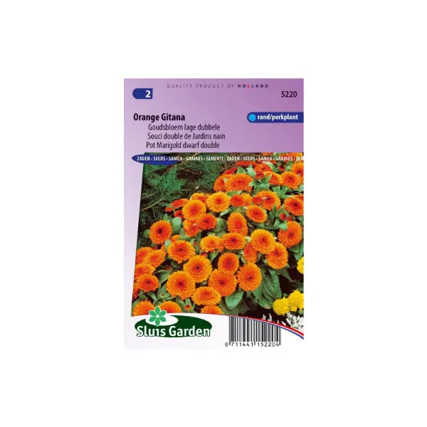 SL5220 Pot Marigold dwarf double Orange Gitana