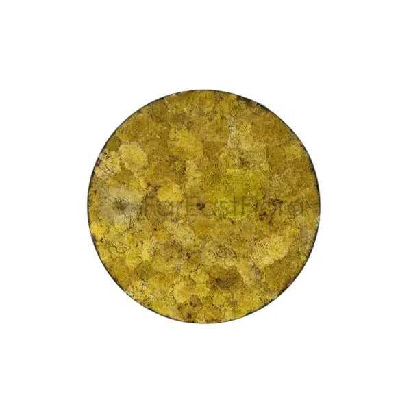 MOSS WALL ART ROUND 60CM 005 (SF)