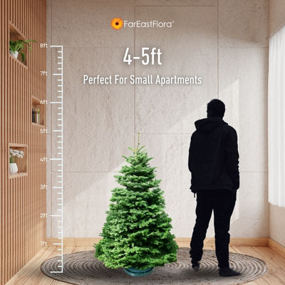 4_5ft Noble Fir Size Chart