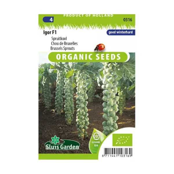 SL0316 Brussels Sprouts Igor F1  BIO