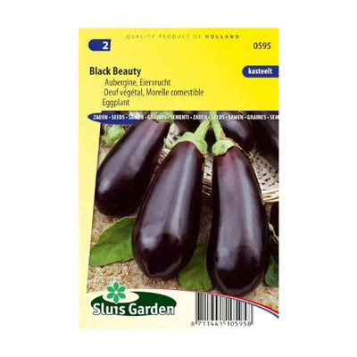 SL0595 Eggplant Black Beauty