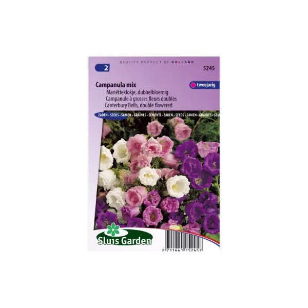 SL5245 Canterbury Bells double flowered mix