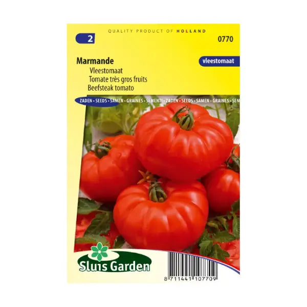 SL0770 Beefsteak tomato Marmande