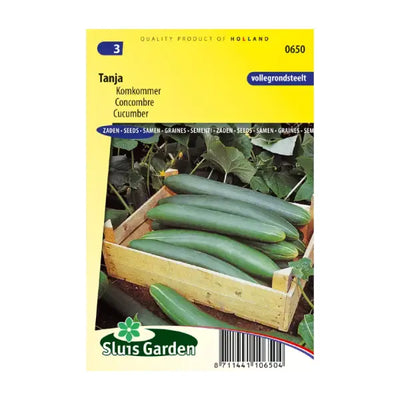 SL0650 Cucumber Tanja