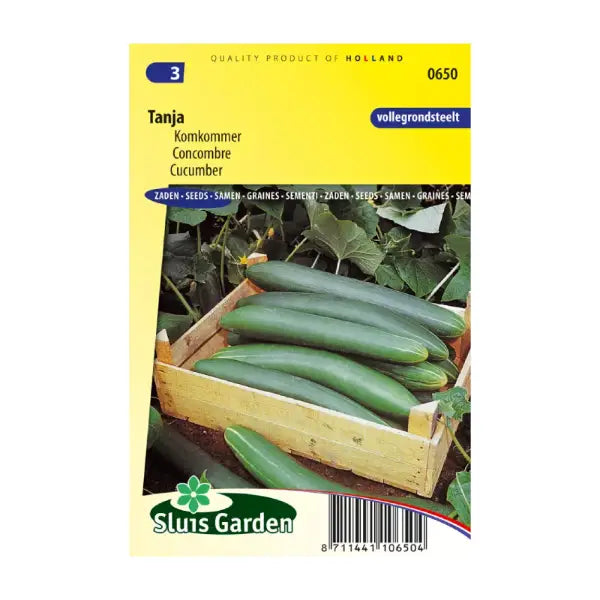 SL0650 Cucumber Tanja