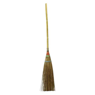 LILY BROOM (CYS)