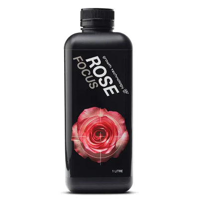 GT ROSE FOCUS 1L