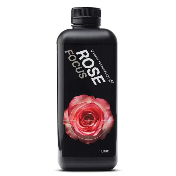 GT ROSE FOCUS 1L