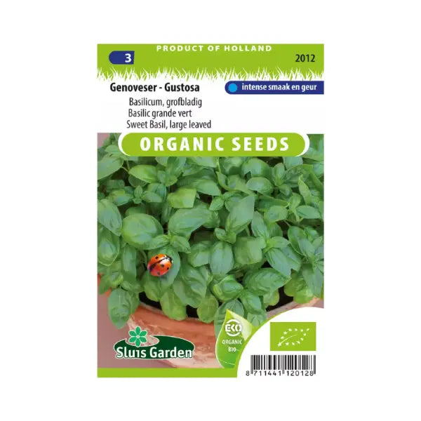 SL2012 Sweet Basil large leaved Genovese - Gustosa  BIO