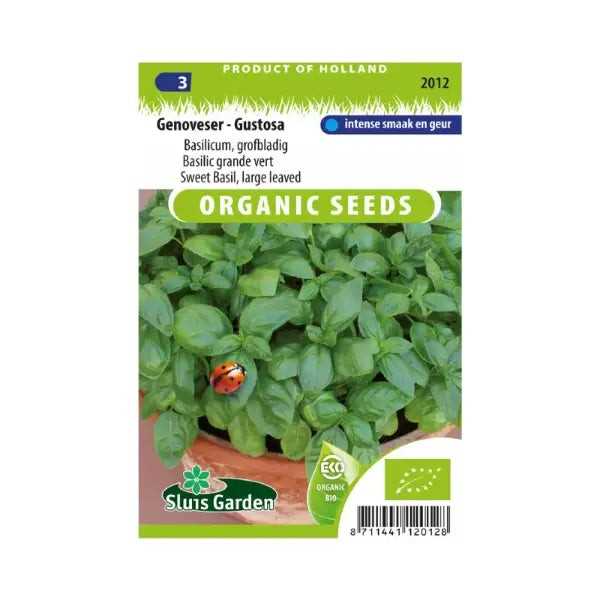 SL2012 Sweet Basil large leaved Genovese - Gustosa  BIO