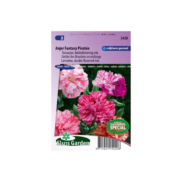 SL5420 Carnation Fantasy Picotée double flowered mix