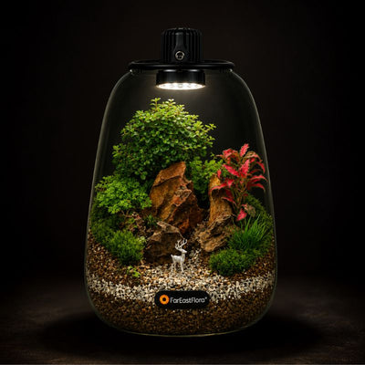 TERRARIUM ARRANGEMENT S/O $129.90