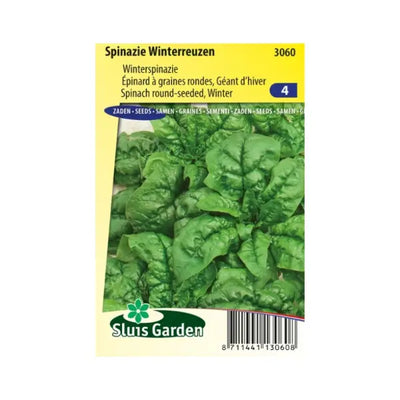 SL3060 Spinach Winterreuzen