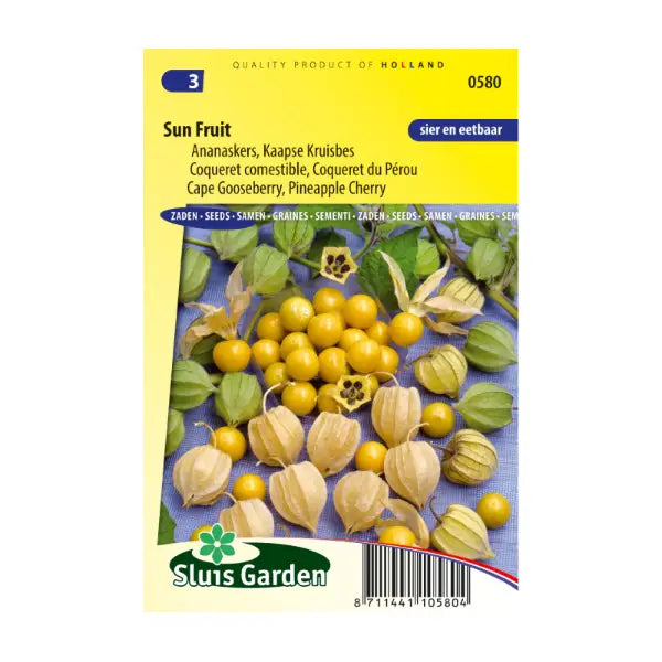 SL0580 Cape Gooseberry Sun Fruit